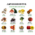 alimentos ricos antioxidantes