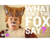 Fox Say?