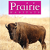 Prairie Habitats