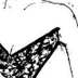 alfred sung bridals