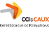 CCI & CAUX  organismede format