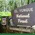 El Yunque National Forest | PR