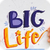 Big Life Journal for kids