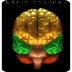 Interactive: Brain Anatomy | M