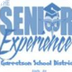 Senior Experience Sharepoint S