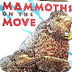 Dropbox - Mammoth on the Move.