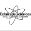 Éclairs de sciences