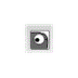 Goobric
