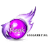 Rook (NL)