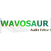 Wavosaur free audio editor wit