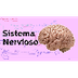 El sistema nervioso - Biología