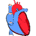 Insuficiencia Cardíaca (IC)