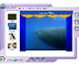 Antarctic Ocean Food Web