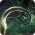 European eel endangered