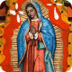 Our Lady Guadalupe