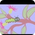 Caterpillar life cycle animati