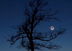 Understanding Moon Phases