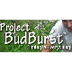 Welcome to Project BudBurst