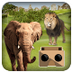 VR Forest Animals Adventure