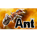 Ants For Kids