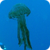 La Eduteca - Esponjas, medusas