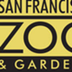 San Francisco Zoo-Black Widow