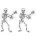 The Skeleton Dance. 2n