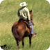 Cowboys of Nebraska - Cattle D