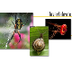Invertebrates - info and onlin