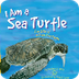 I am a Sea Turtle