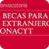 BECAS EXTRANJERO