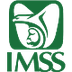 Sitio Web del IMSS
