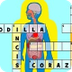 Crucigrama del Cuerpo Humano |