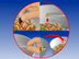 How To Raise Mealworms