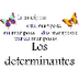 DETERMINANTES ARTÍCULOS Tema 6