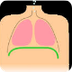 ¿Qué es la respiración?