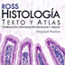 Ross' histology 5