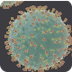Coronavirus: PREVENCIÓN