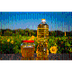 sunflower and cottonseed oil