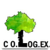 COLEGIO PROFESIONAL DE LOGOPED