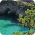 Point Lobos Foundation