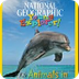 Animals in Motion
