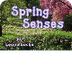 Spring Senses
