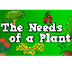 The Needs of a Plant