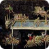 4e Latin - Otium