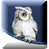 NCWise Owl