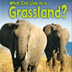 What Can Live in a Grassland