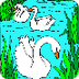 SWANS