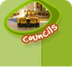 What do Councils do?