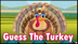 Guess the Turkey